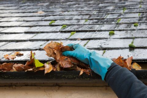 Image of turquoise glove cleaning leaves out of home gutter